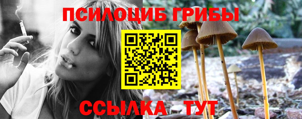 Псилоцибиновые грибы GOLDEN TEACHER Ефремов